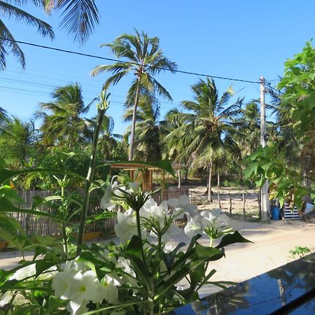 Villa Dos Coqueirais Icaraí Eksteriør billede