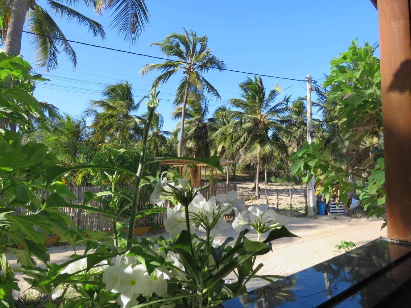 Villa Dos Coqueirais Icaraí Eksteriør billede
